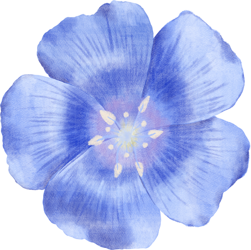 Blue Flax watercolor flowers