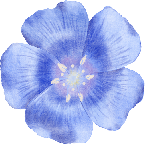 Blue Flax watercolor flowers