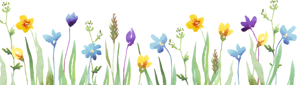 Wildflowers border. Watercolor clipart